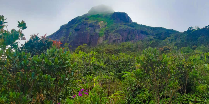 The misty slopes of Adam’s Peak, Sri Lanka