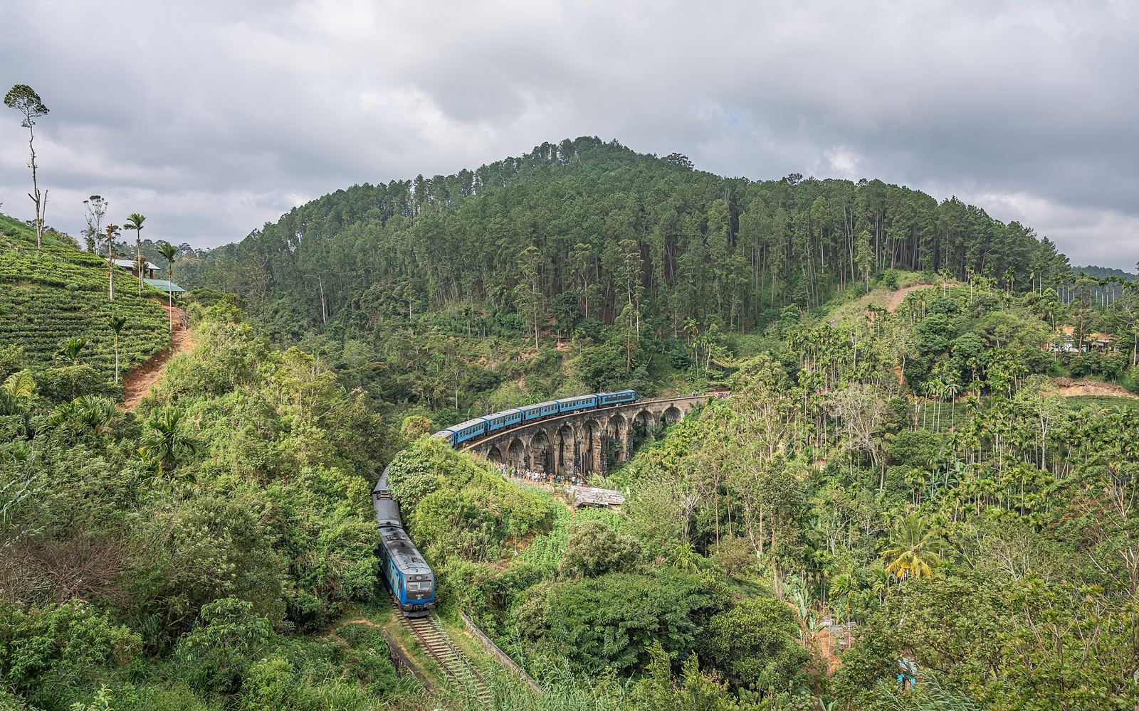 The unforgettable train journey through Ella