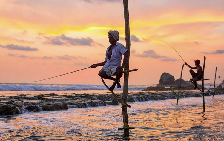Stilt fishing at sunset